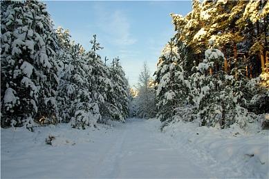 这帧数馋哭了！ 外媒发布《塞尔达无双：封印战纪》5分钟实机画面