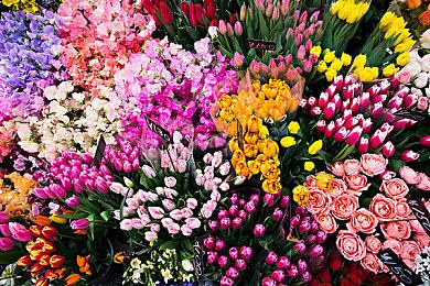 《高压水枪模拟器》遭遇离奇BUG 玩家不能看太阳